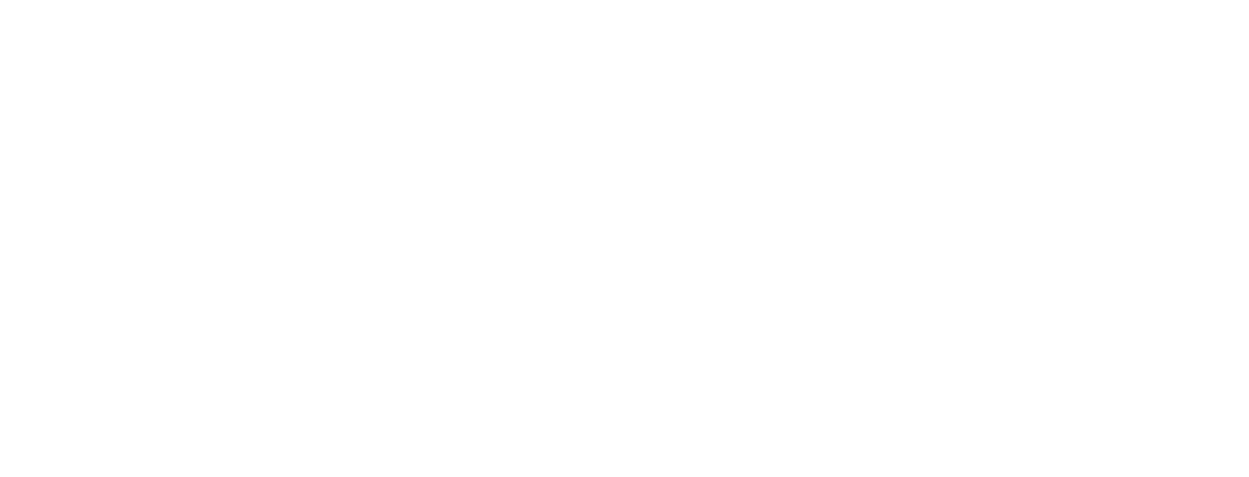 Metals of Honor